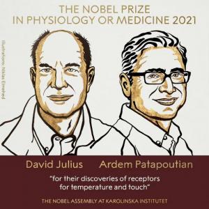 21世纪经济报道还梳理了近10年诺贝尔生理学或医学奖获得者及其获奖原因